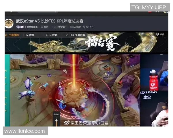 王者荣耀热议TES战术争议引发玩家热烈讨论与思考